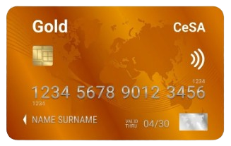 Visa Gold Card